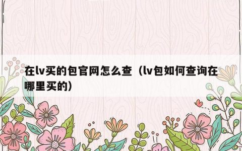 在lv买的包官网怎么查（lv包如何查询在哪里买的）